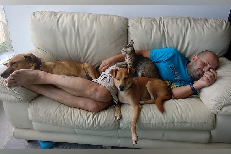 חברים על ארבע | שינה עם כלבים