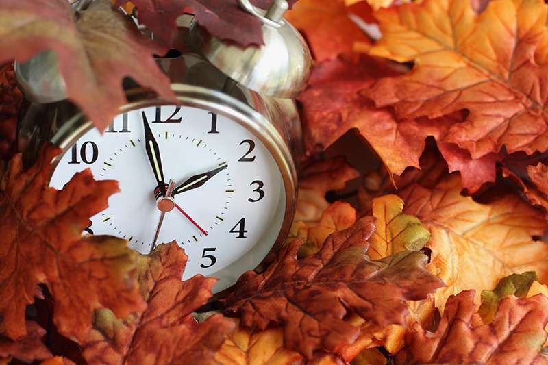 סתיו, שעון, עלים | צילום (אילוסטרציה): Shutterstock