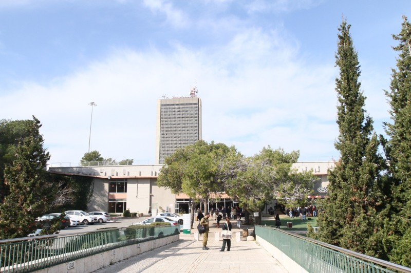 אוניברסיטת חיפה | צילום: אוניברסיטת חיפה