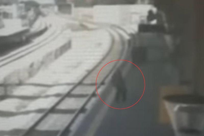 תיעוד: בן 79 נפל למסילת הרכבת בתחנת בת גלים