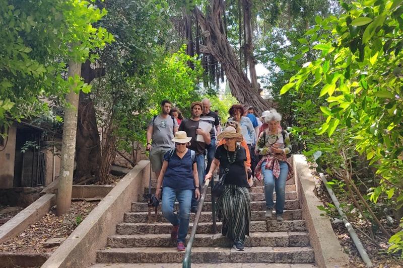 פסטיבל הליכות ג'יין