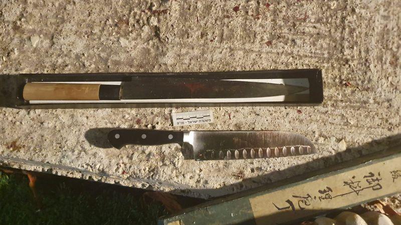 הסכינים שנמצאו בדירה | צילום: דוברות המשטרה
