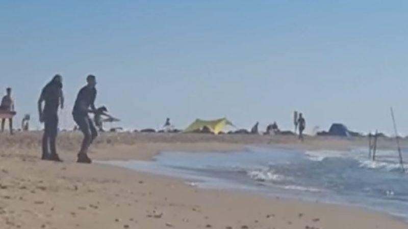 חשוד בהתעללות בכלבים בחוף הים הסגיר את עצמו למשטרה