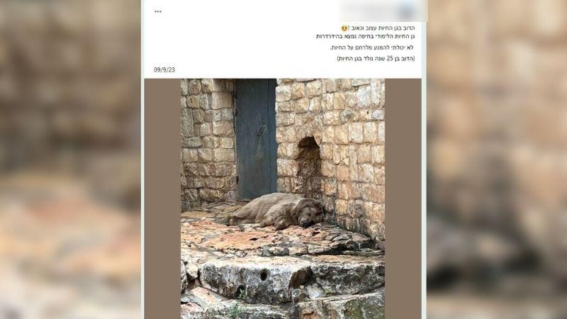 הפוסט בפייסבוק | צילום מסך מתוך פייסבוק