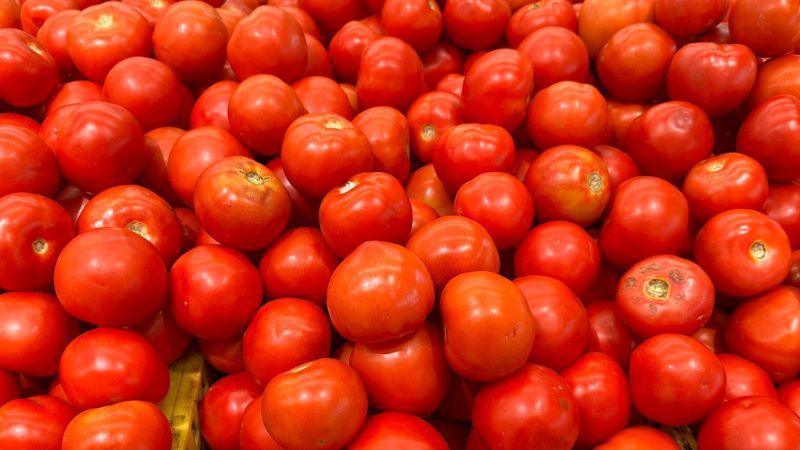 עגבניות | צילום: רדיו חיפה