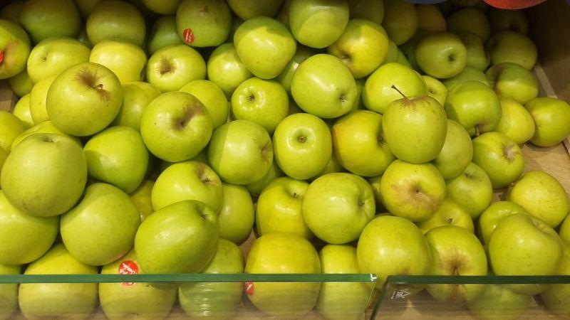 תפוחי עץ | צילום: רדיו חיפה