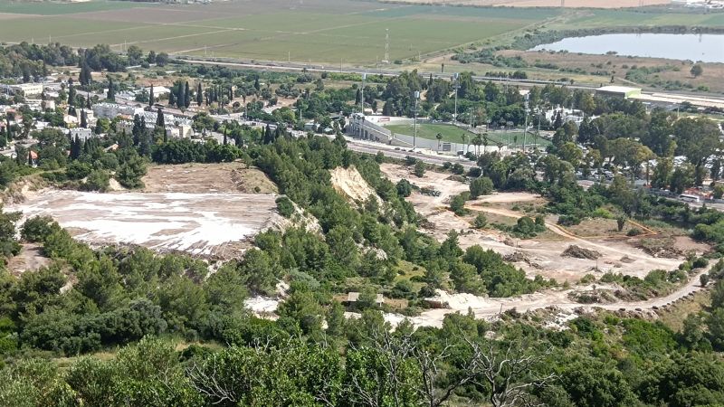 השטח במחצבה הישנה בו נכרתו העצים בחודש מאי 2024 | צילום: חנה יריב