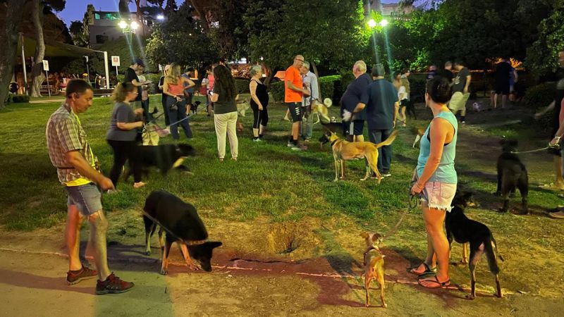 מחאת הכלבים בגן שמואל | צילום: תמרה אפל