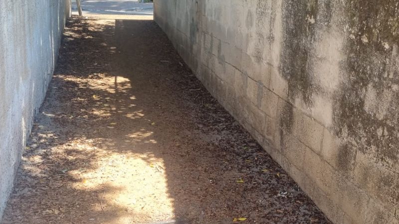 "כששאלתי למה לא מנקים אמרו לי שיש בעיות תקציב". קרית חיים מערבית | צילום: אודיה שווץ