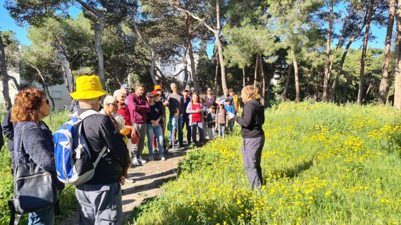 מבצר ראש מיה | צילום: ענבל חן ברגב