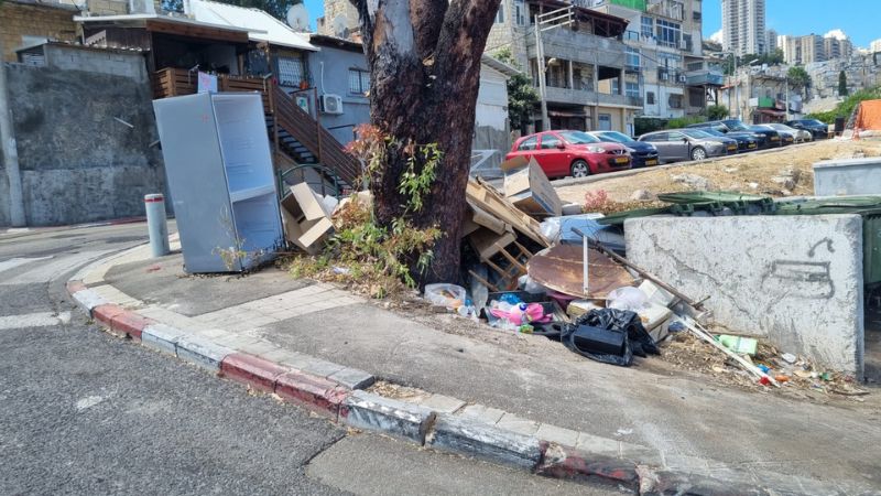 חליסה | צילום: אודיה שווץ