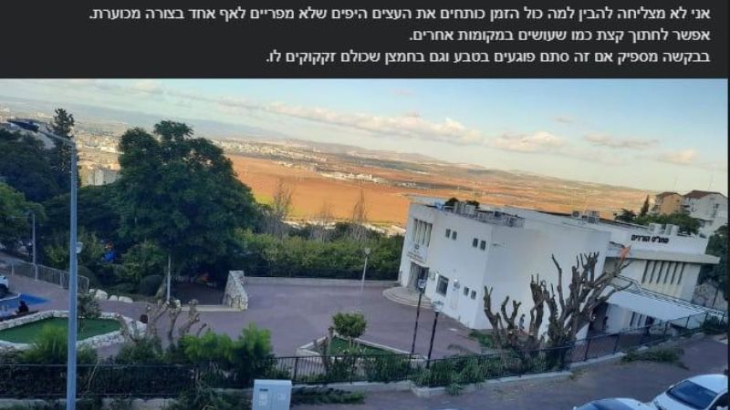 אחד הפוסטים לגבי כריתת עצים בנשר