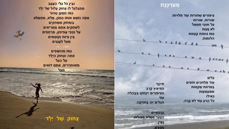 שתיים מהעבודות של ד"ר תמר כץ פלד