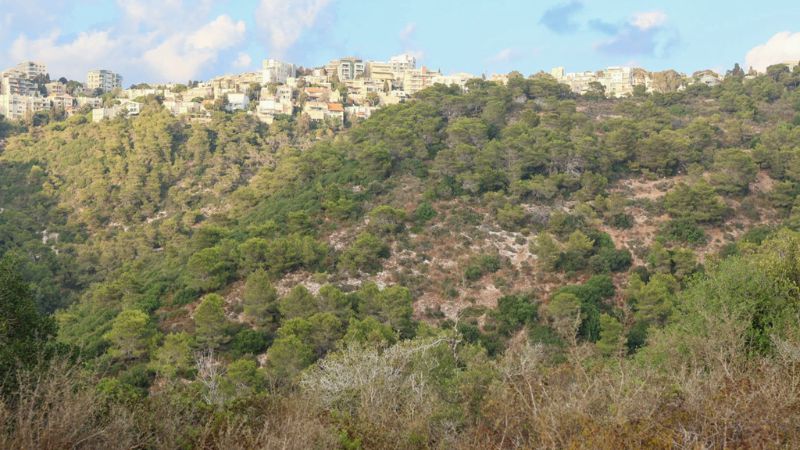 מורדות לינקולן ותל אהרון | צילום: עומר מוזר