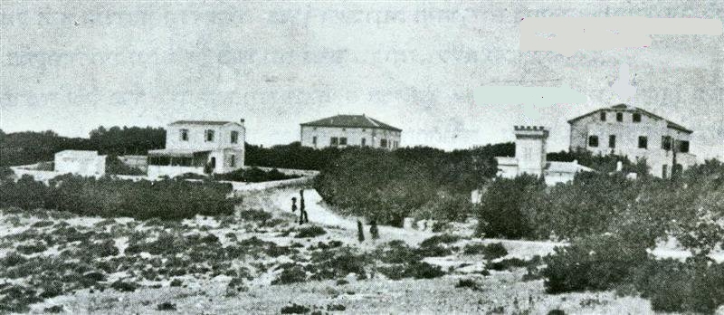 כרמלהיים. 1907