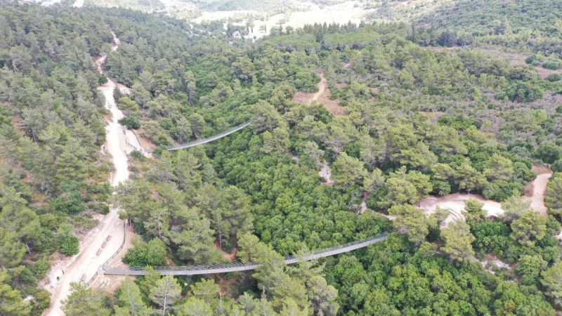 מועצת העיר נשר אישרה: איסור שימוש בכלים חד פעמיים בפארקים הציבוריים