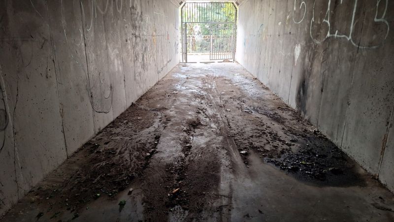 מעבר מרכוס | צילום: עומר מוזר