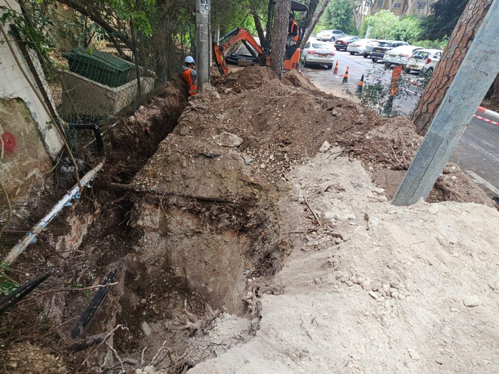 שורשי עצים שנפגעו | צילום: לפי סעיף 27א' לחוק זכויות יוצרים