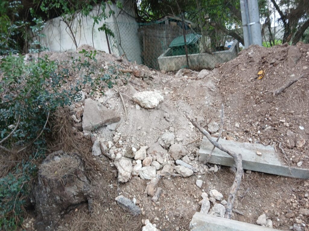שורשי עצים שנפגעו | צילום: לפי סעיף 27א' לחוק זכויות יוצרים