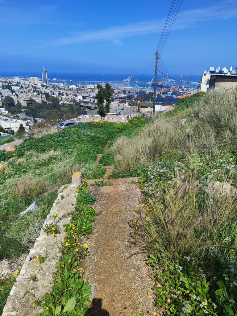 השביל המוזנח המחבר בין חליסה לנוה שאנן