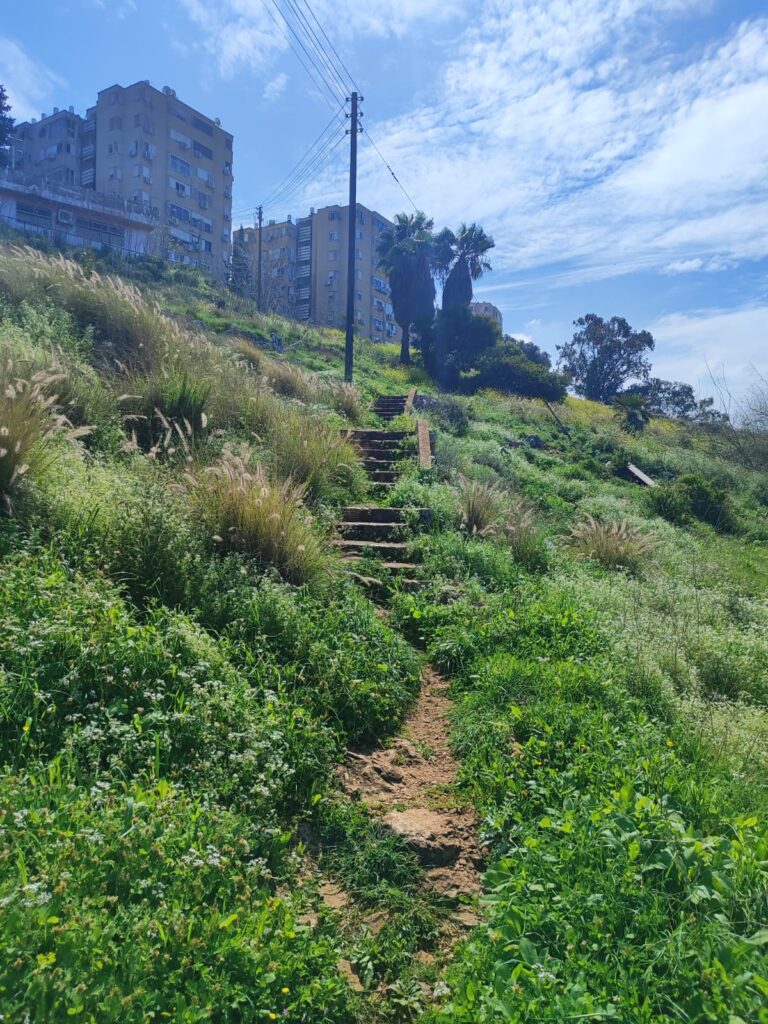 השביל המוזנח המחבר בין חליסה לנוה שאנן