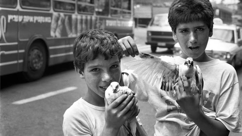ילדים ויונים, הדר | צילום: עוזי פורת