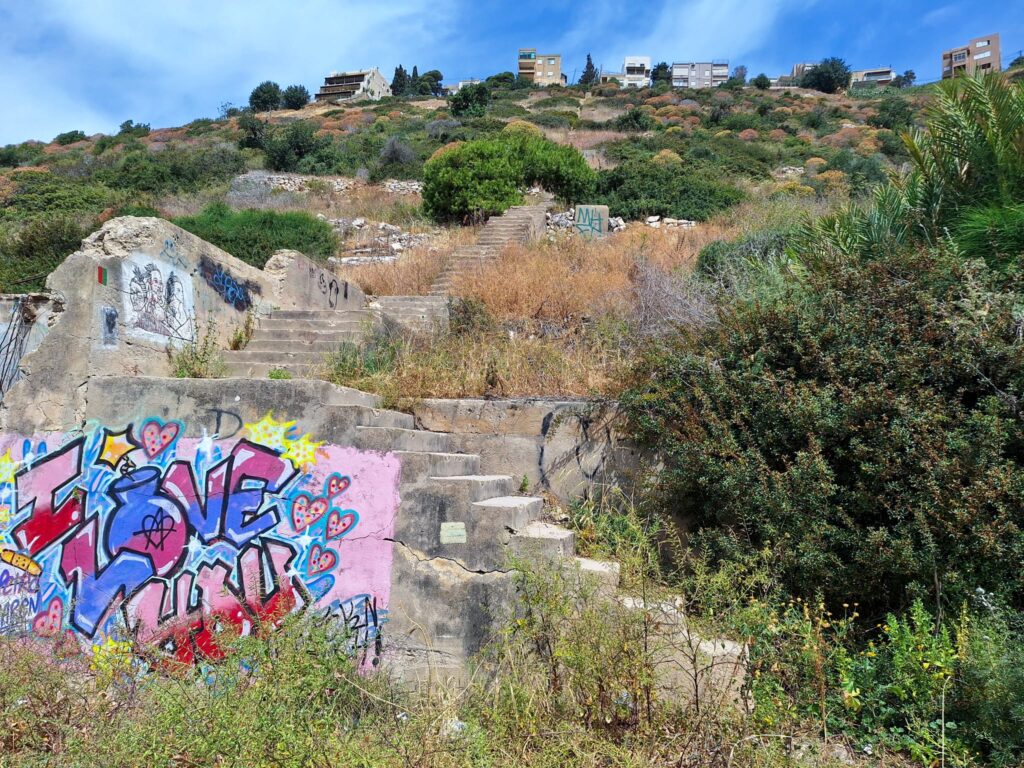 בוסתן כיאט | צילום: עומר מוזר