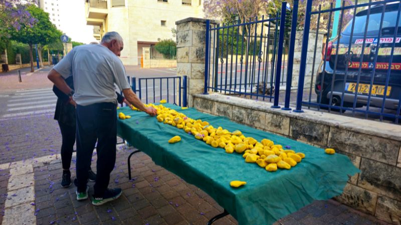 בשביל מתן - מיזם האבנים הצהובות | צילום: דוברות עיריית קריית ביאליק