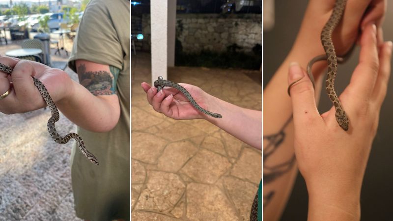זהר להט והקולקציה | צילומים: אלבום פרטי