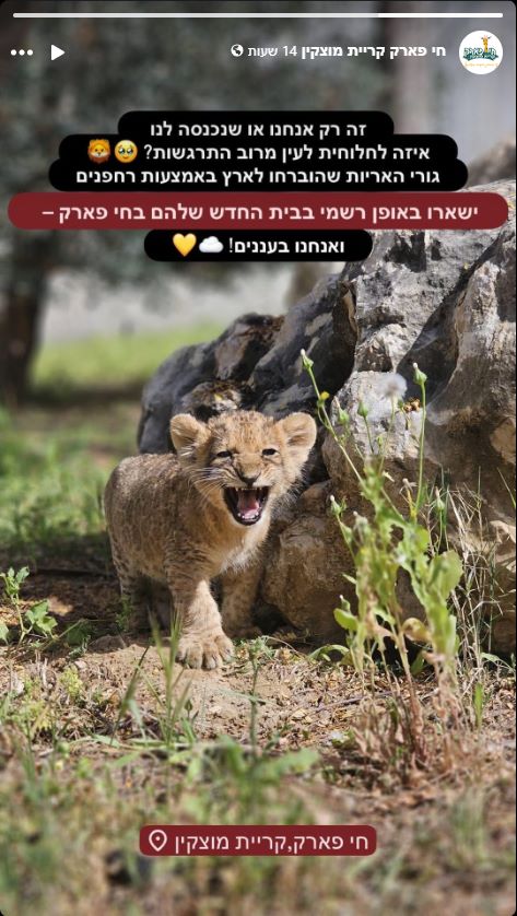 תגובת החי פארק לבשורה | צילום מסך מתוך פייסבוק