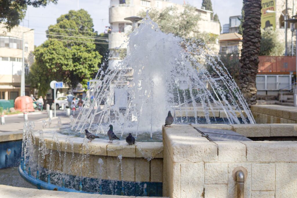 יציבות בעשורים של שינוי, גן בנימין | צילום: עומר מוזר