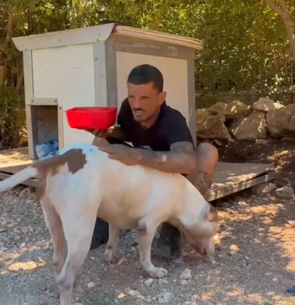 הפיטבול לביא (לשעבר בוס) עם בעליו החדש יובל מנדלוביץ' | צילום: מתוך סרטון בעמוד הפייסבוק שלו