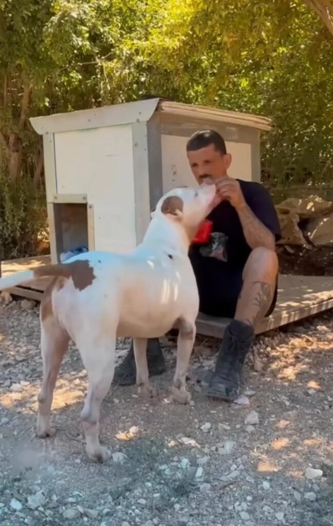 הפיטבול לביא (לשעבר בוס) עם בעליו החדש יובל מנדלוביץ' | צילום: מתוך סרטון בעמוד הפייסבוק שלו