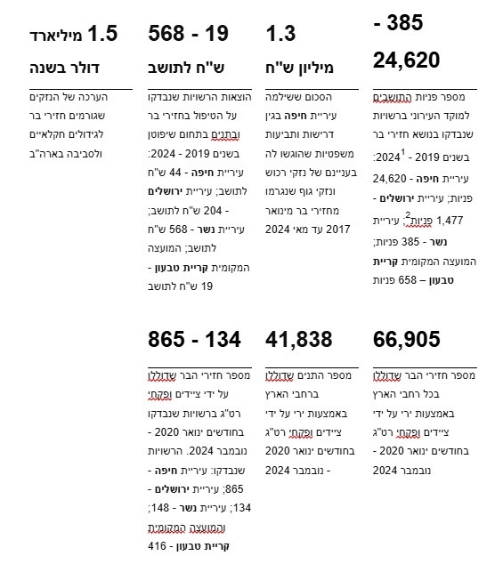 נתוני מפתח מתוך דוח מבקר המדינה 2025 על השלטון המקומי