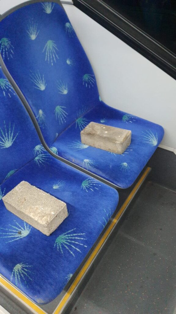 שתי לבנים שהושארו באוטובוס על ידי בני נוער | צילום: אלבום פרטי