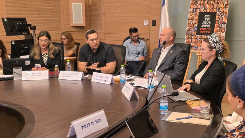 מתוך דיון ועדת הפנים | צילום: דוברות הכנסת