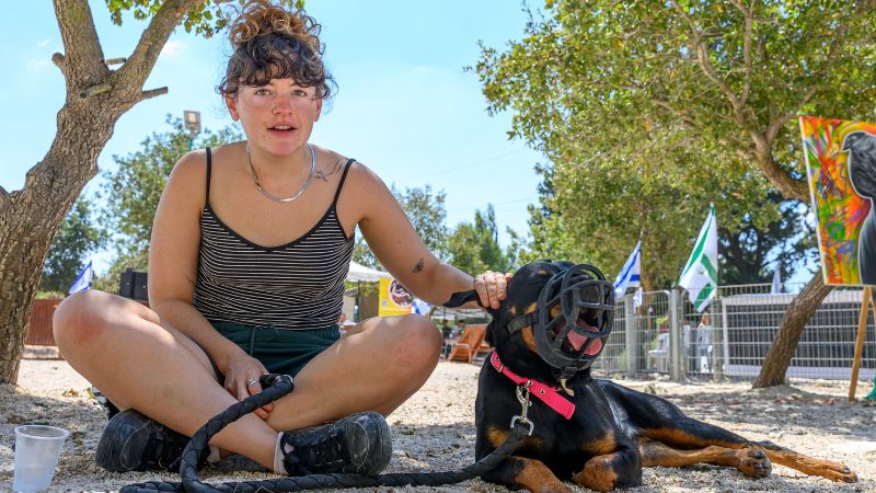 המס(ו)כנים של יובל מנדלוביץ' ממתינים לאימוץ | צילום: עופר אשכנזי