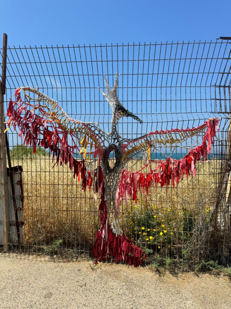 עבודת סריגה של ליזה ממלי | צילום: אלבום פרטי