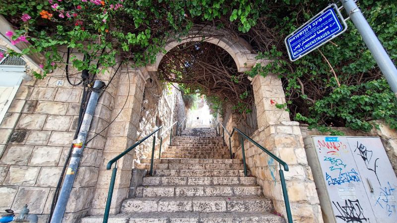 המדרגות בוואדי סאליב | צילום: עומר מוזר