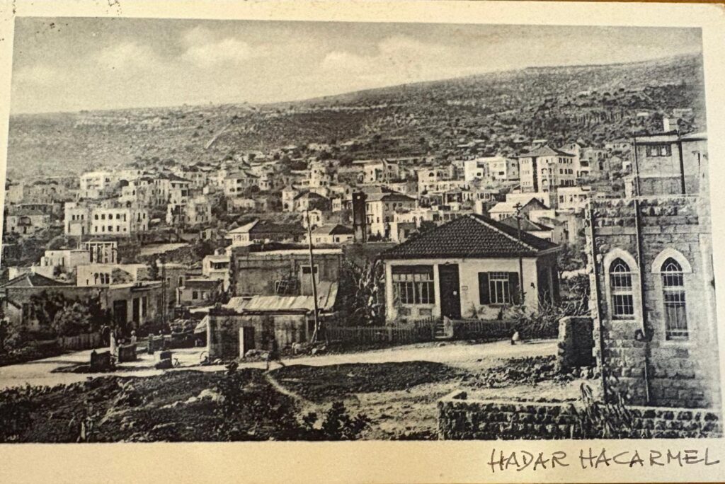 הדר הכרמל, מתוך אוסף גוטליב שומאכר של אוניברסיטת חיפה