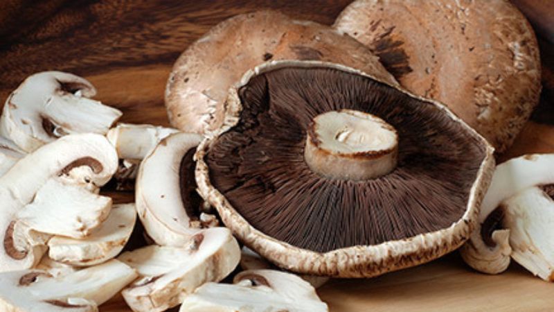 פטריות | צילום: Shutterstock