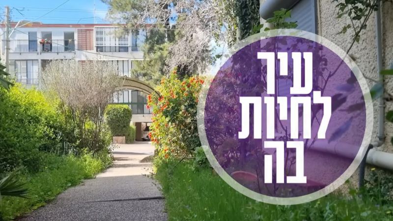 המיתוסים של חיפה: בשלושה סרטונים הוצף הכשל הגדול של העיר