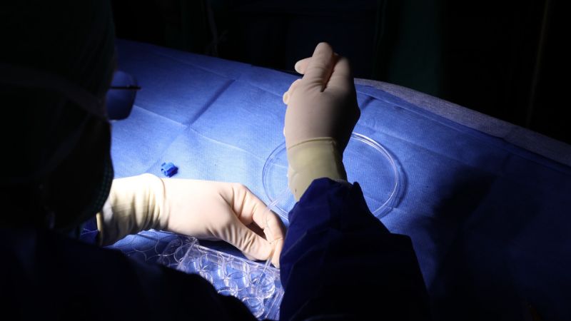 מתוך הניתוח פורץ הדרך שבוצע ברמב