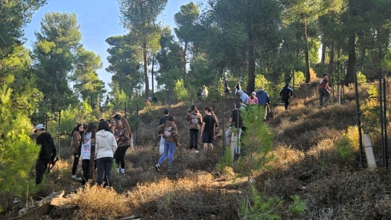 לצפון באהבה: 350 תלמידי ליאו באק שיקמו יער שנפגע במלחמה