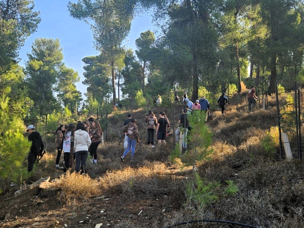 מסייעים בשיקום יער עין זיתים | צילום: מרכז חינוך ליאו באק