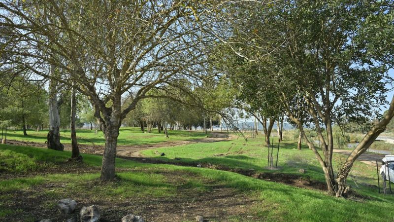 תחילת העבודות לסלילת השביל | צילום: מיכאל חורי, מערך ההסברה קק״ל