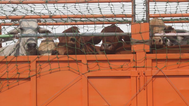 צחנה בגוון טבעי