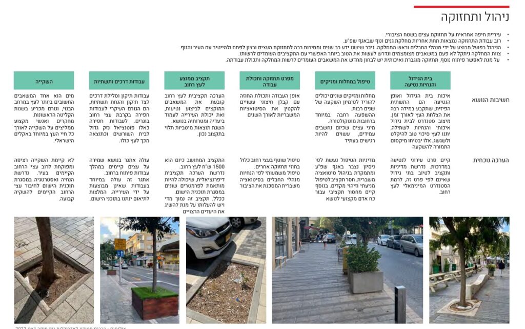ניהול ותחזוקה. מתוך תוכנית ייעור והצללה של עיריית חיפה
