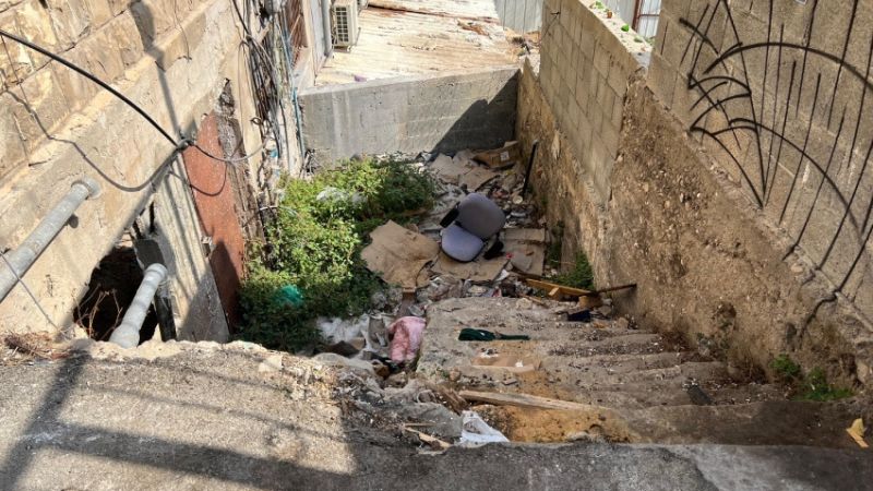 מדרגות דבורה | צילום: חגית הורנשטיין