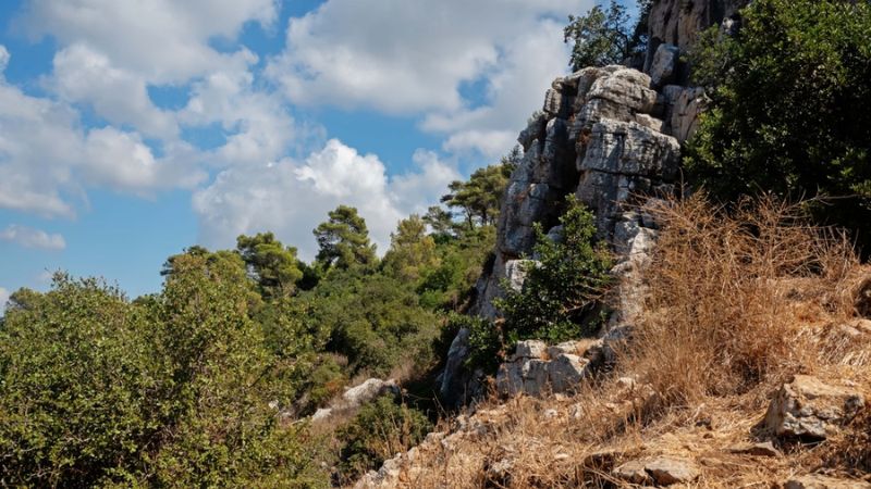 נקבע מותו של המטייל שנפל מגובה באזור פארק הכרמל